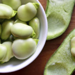 大豆法瓦豆木表碗夏菜豆顶端视图