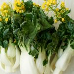 4最喜爱防炎食品