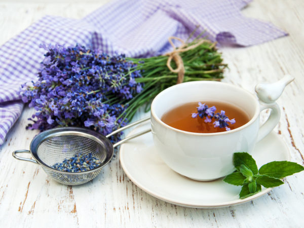 杯茶白云花 旧木本底