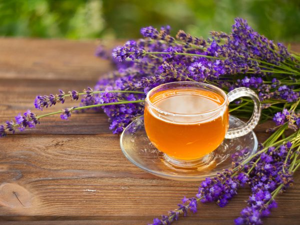 淡化焦虑和萧条隐含物压力和焦虑 Andrew Weil M.D